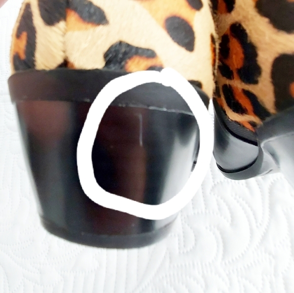 Apri by Italian Shoemakers Gear 2 Booties - Picture 8 of 11